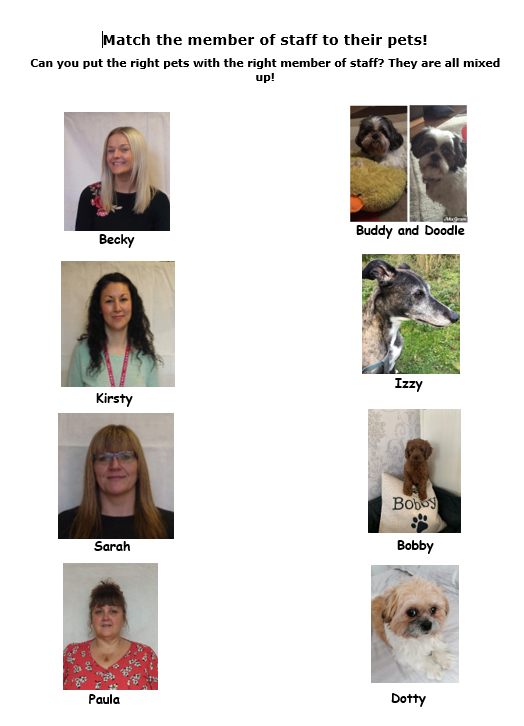 match the staff with the pets