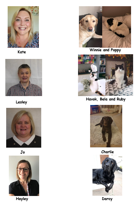 match the staff to their pets