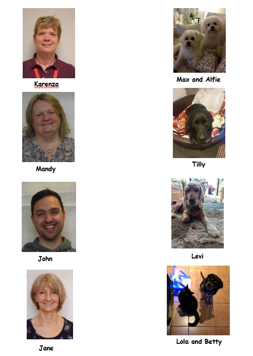 match staff to their pets