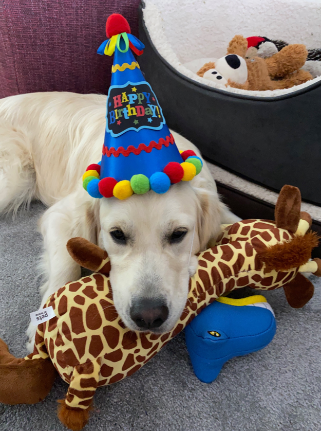 Hudson birthday party