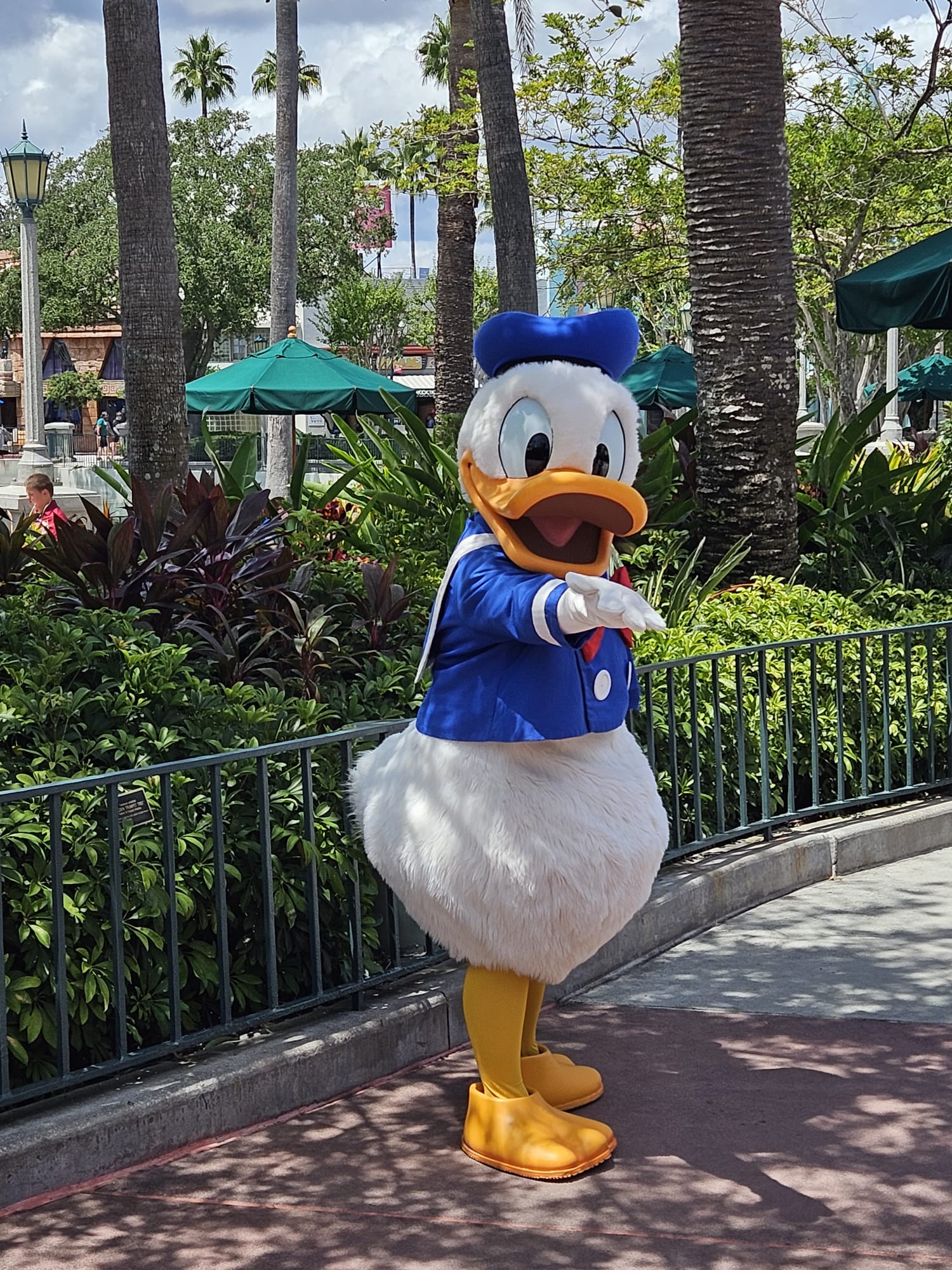 Donald Duck