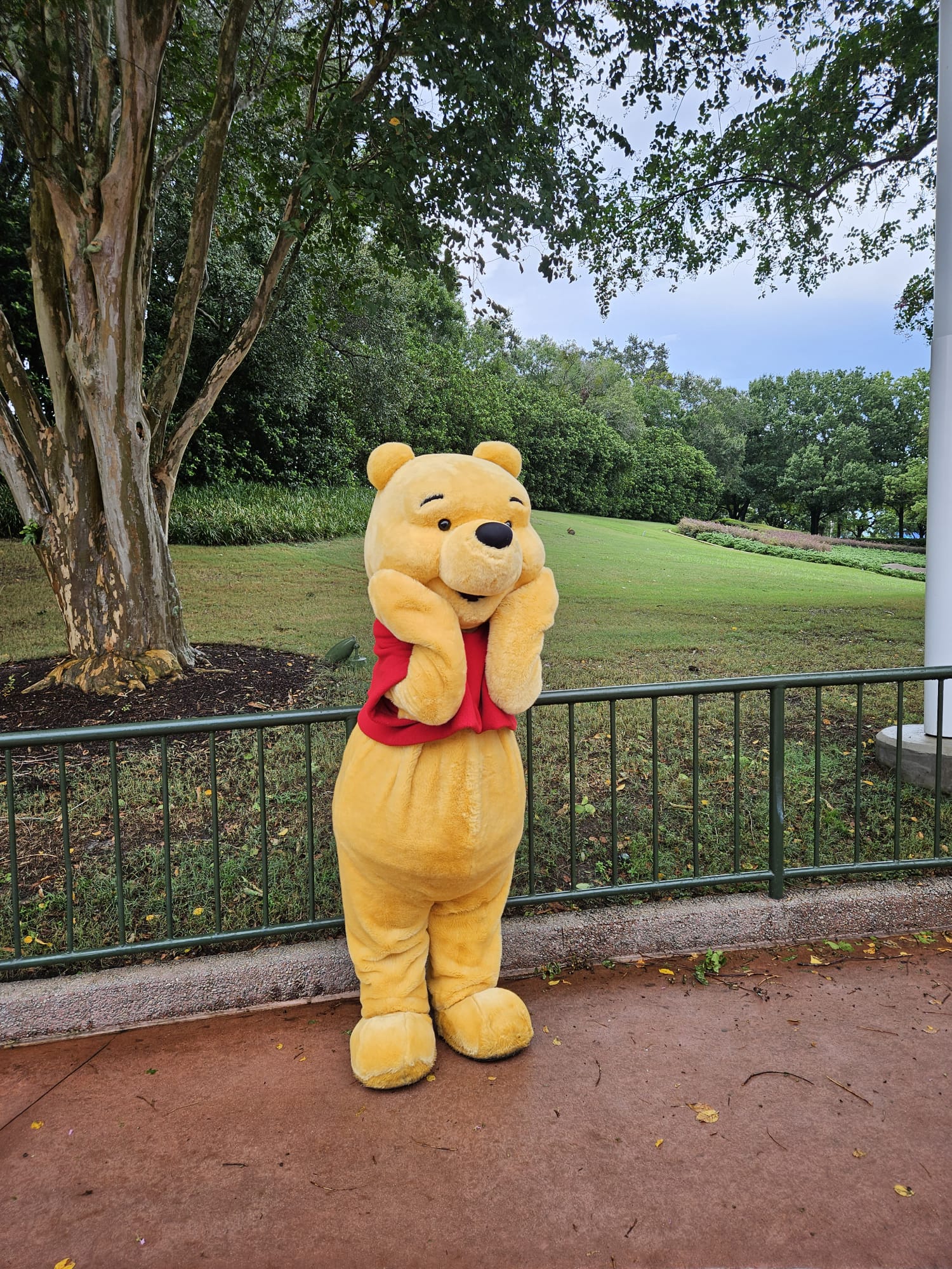 Winnie the pooh