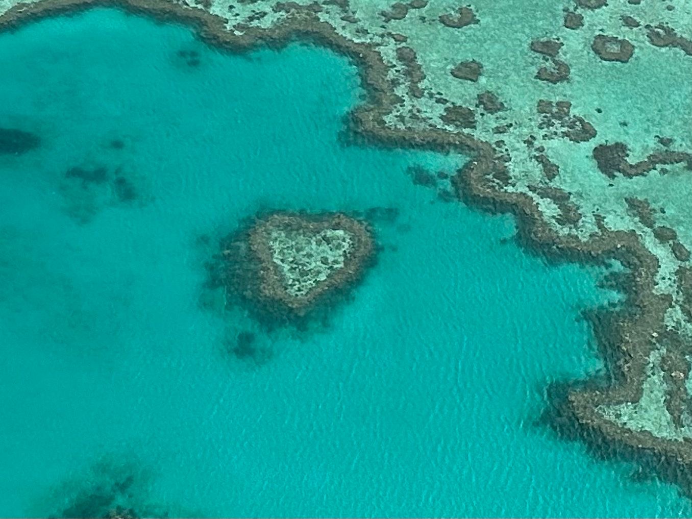 Great Barrier Reef 