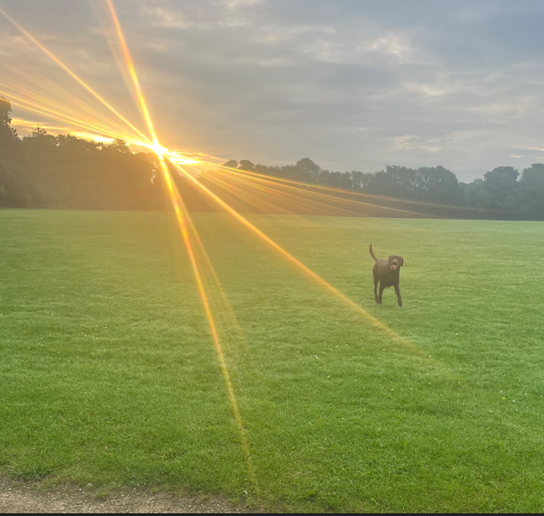 Max running around a field