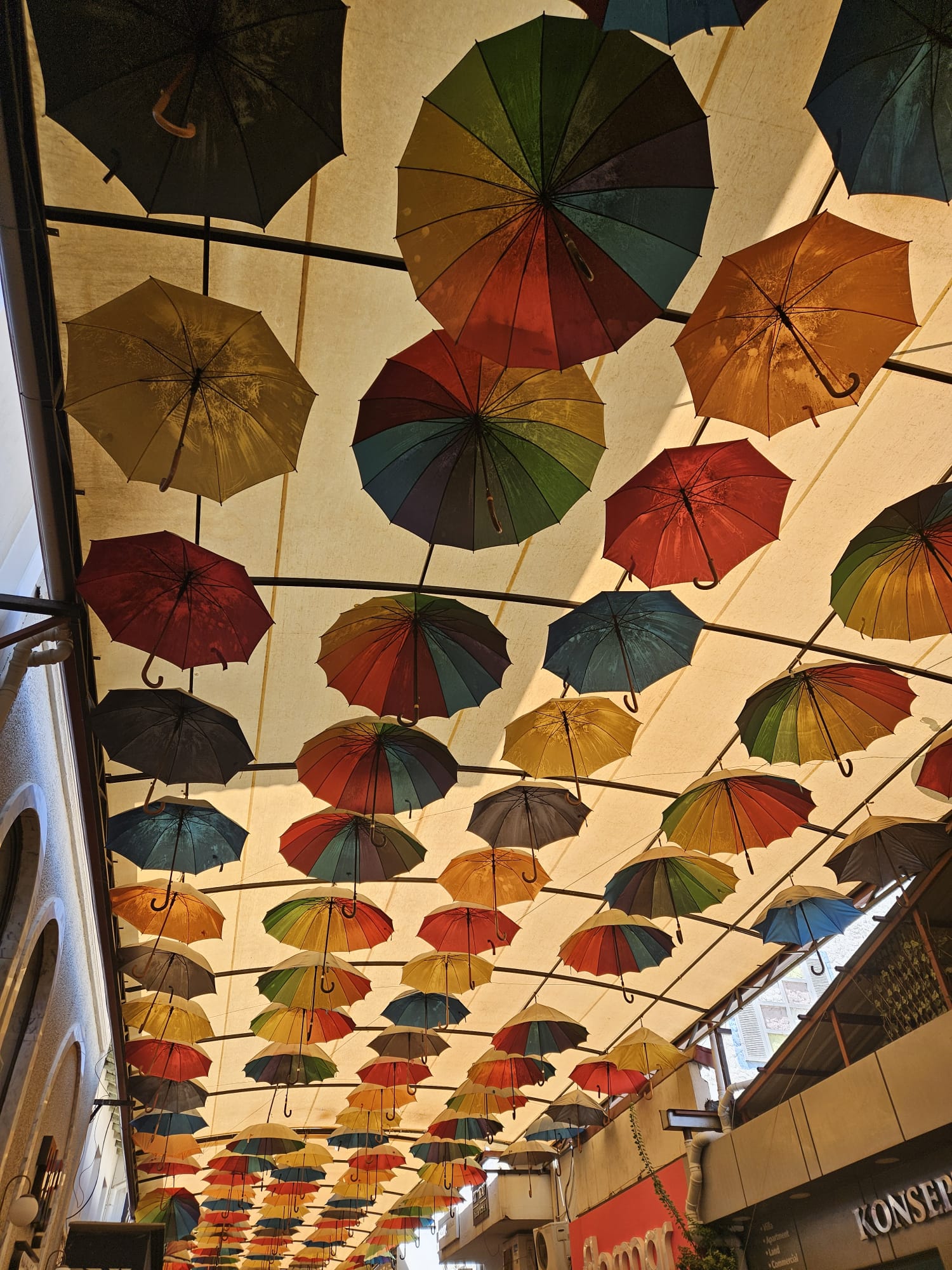 umbrellas