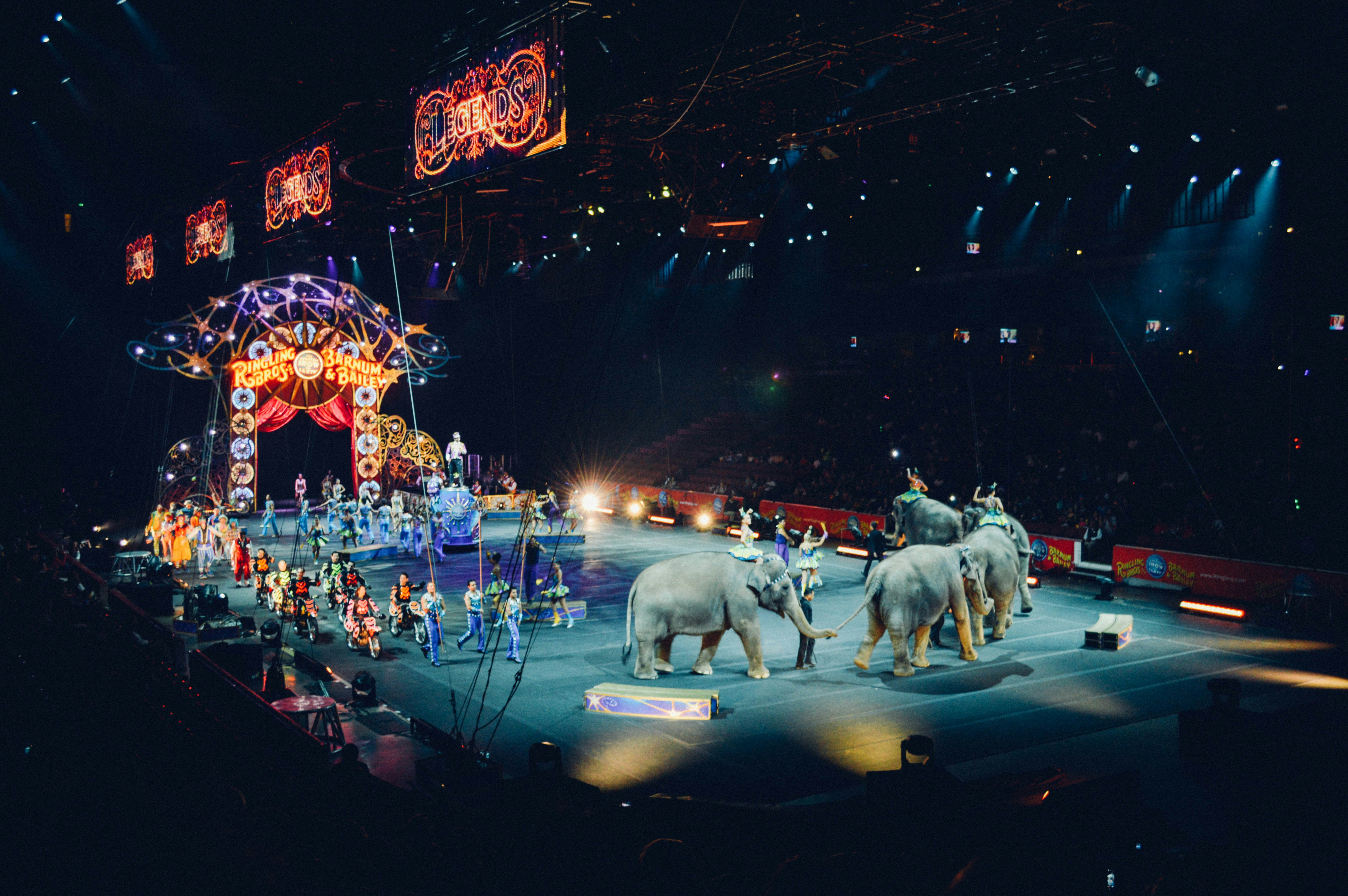 circus