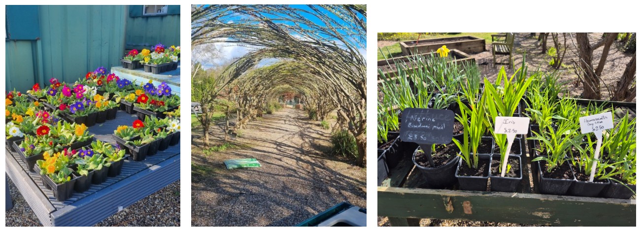 gardens